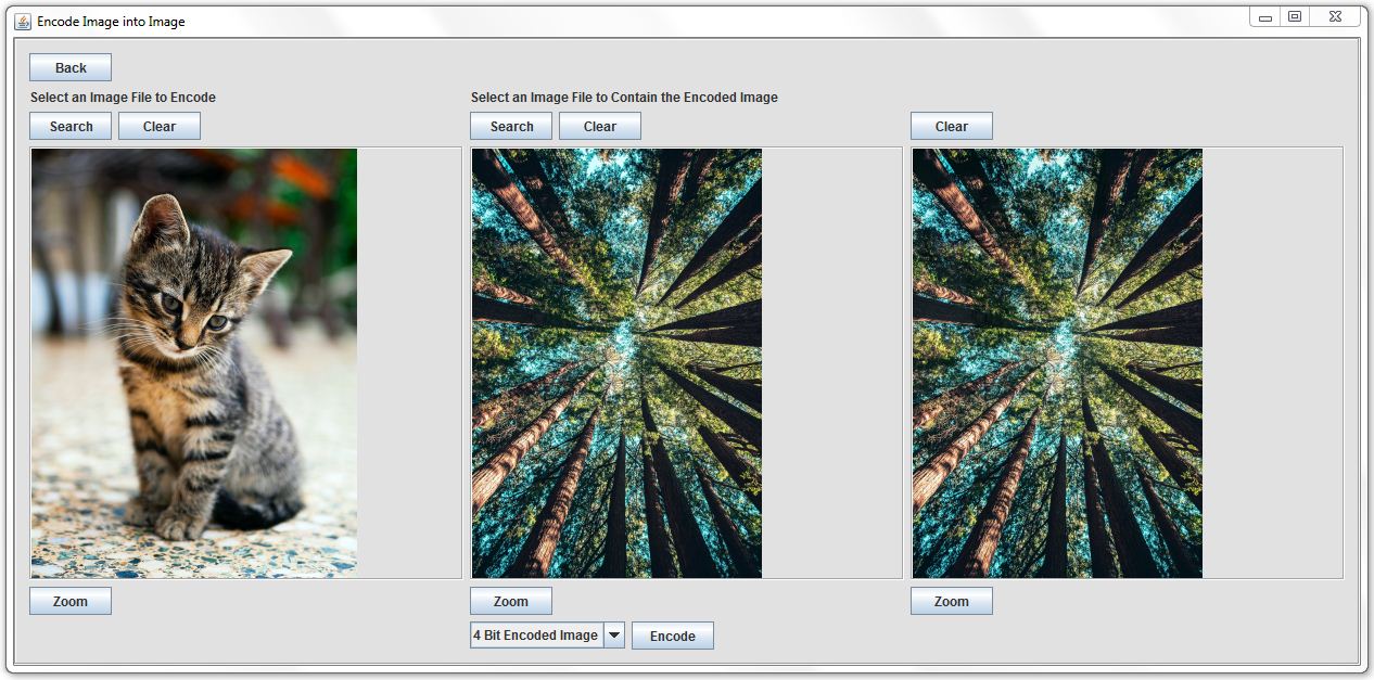 Steganography